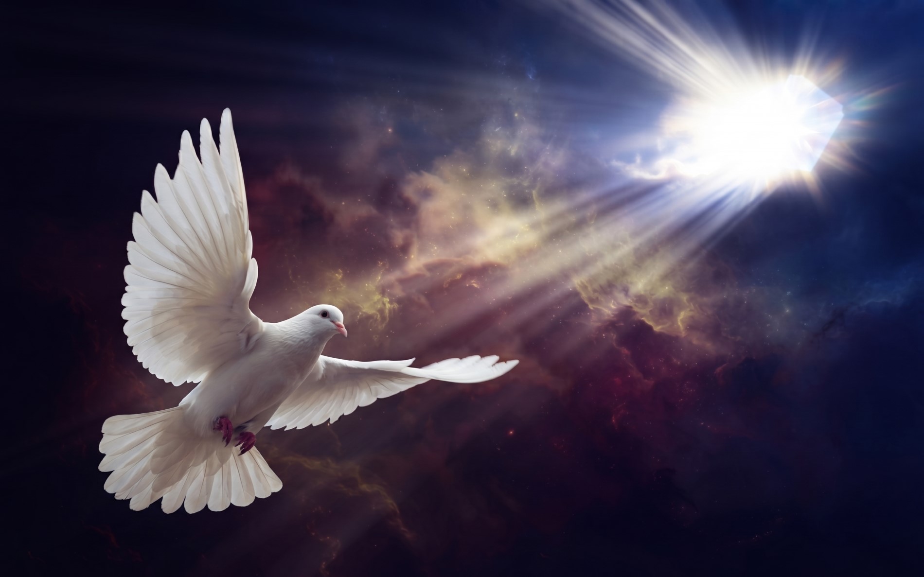 Parallax Background Image
